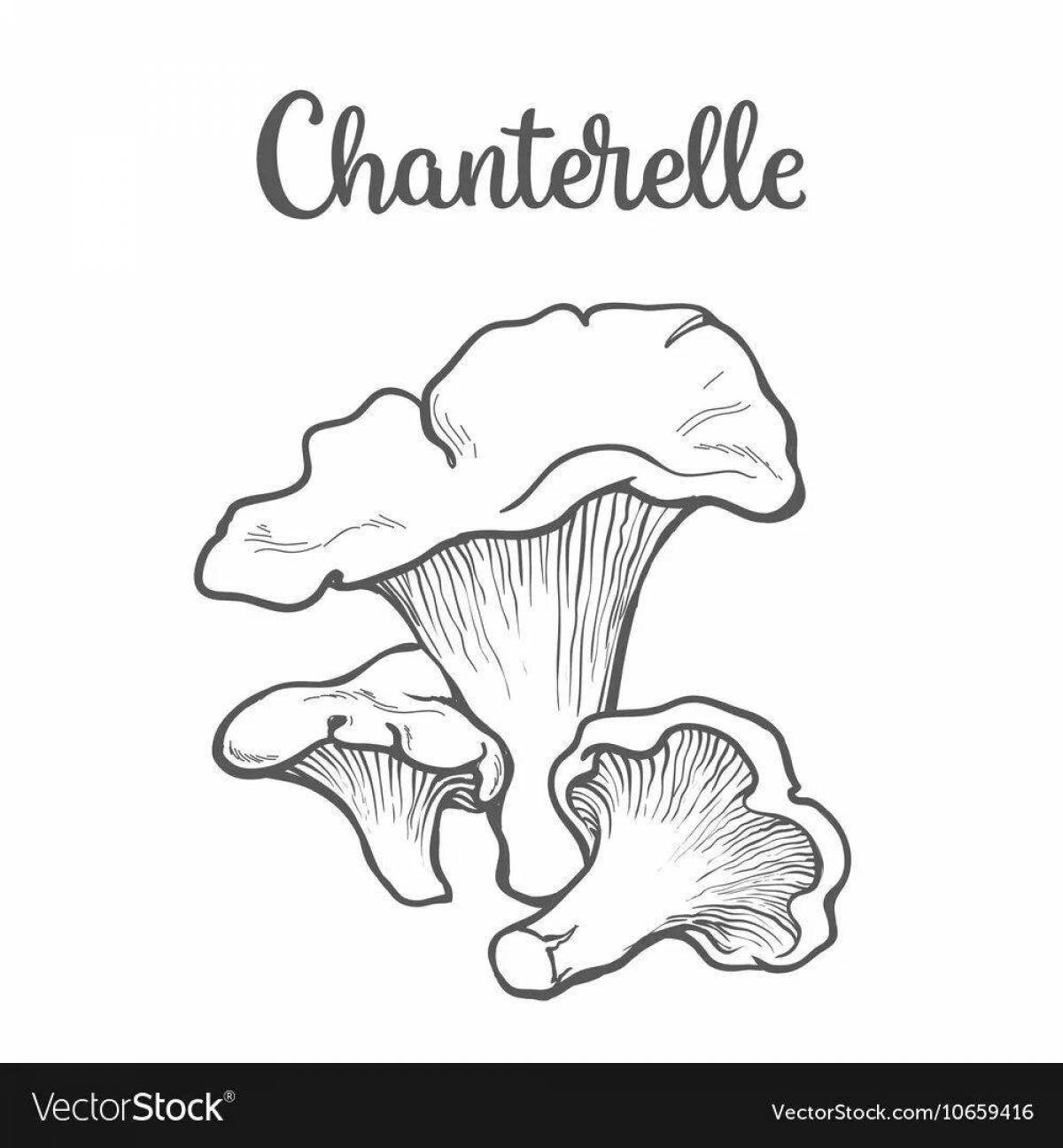 Chanterelle mushroom adorable coloring book