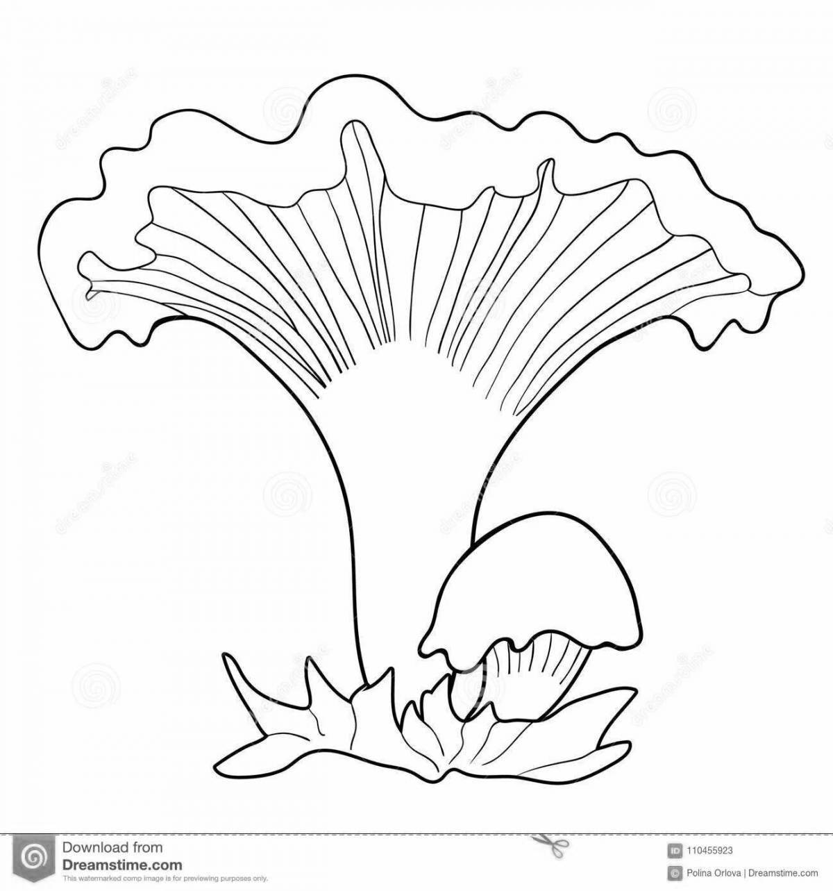 Coloring page amazing chanterelle mushrooms