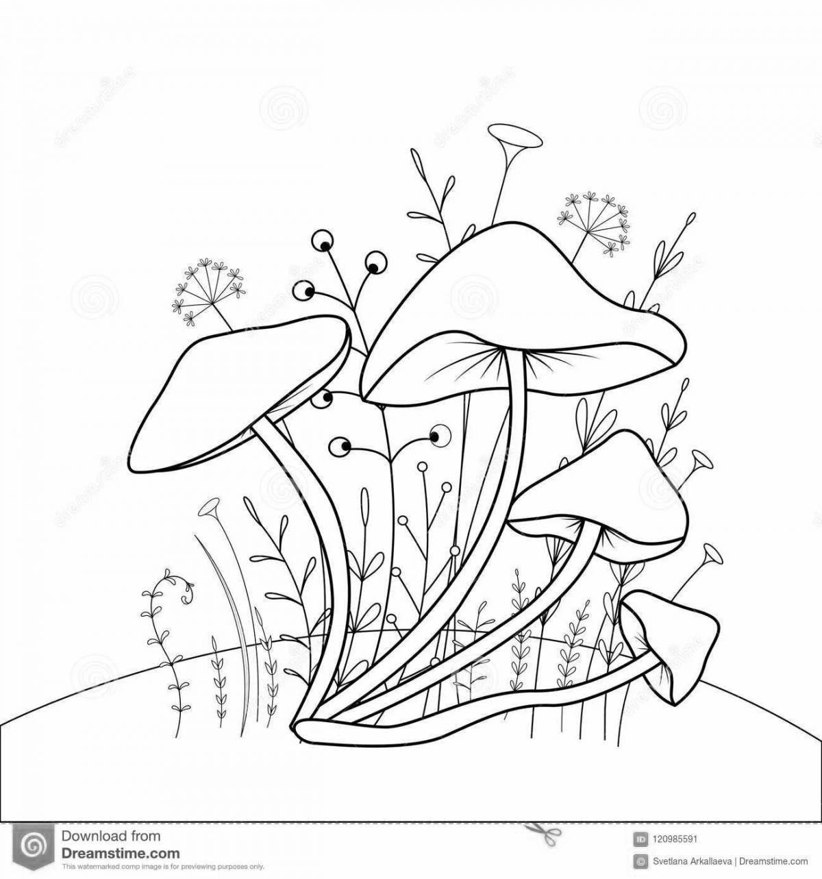 Cute chanterelle mushroom coloring page
