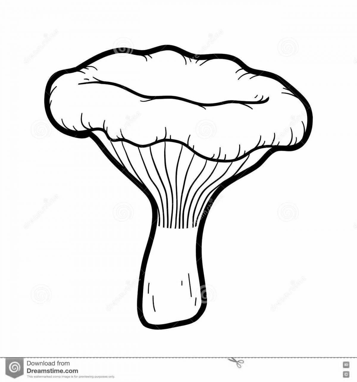 Coloring page sweet mushroom chanterelle