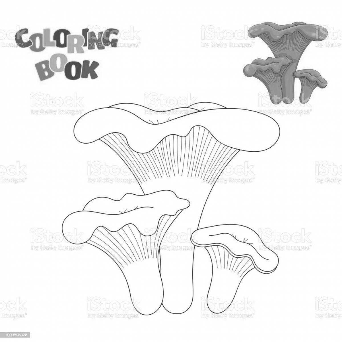 Coloring page cute chanterelle mushroom