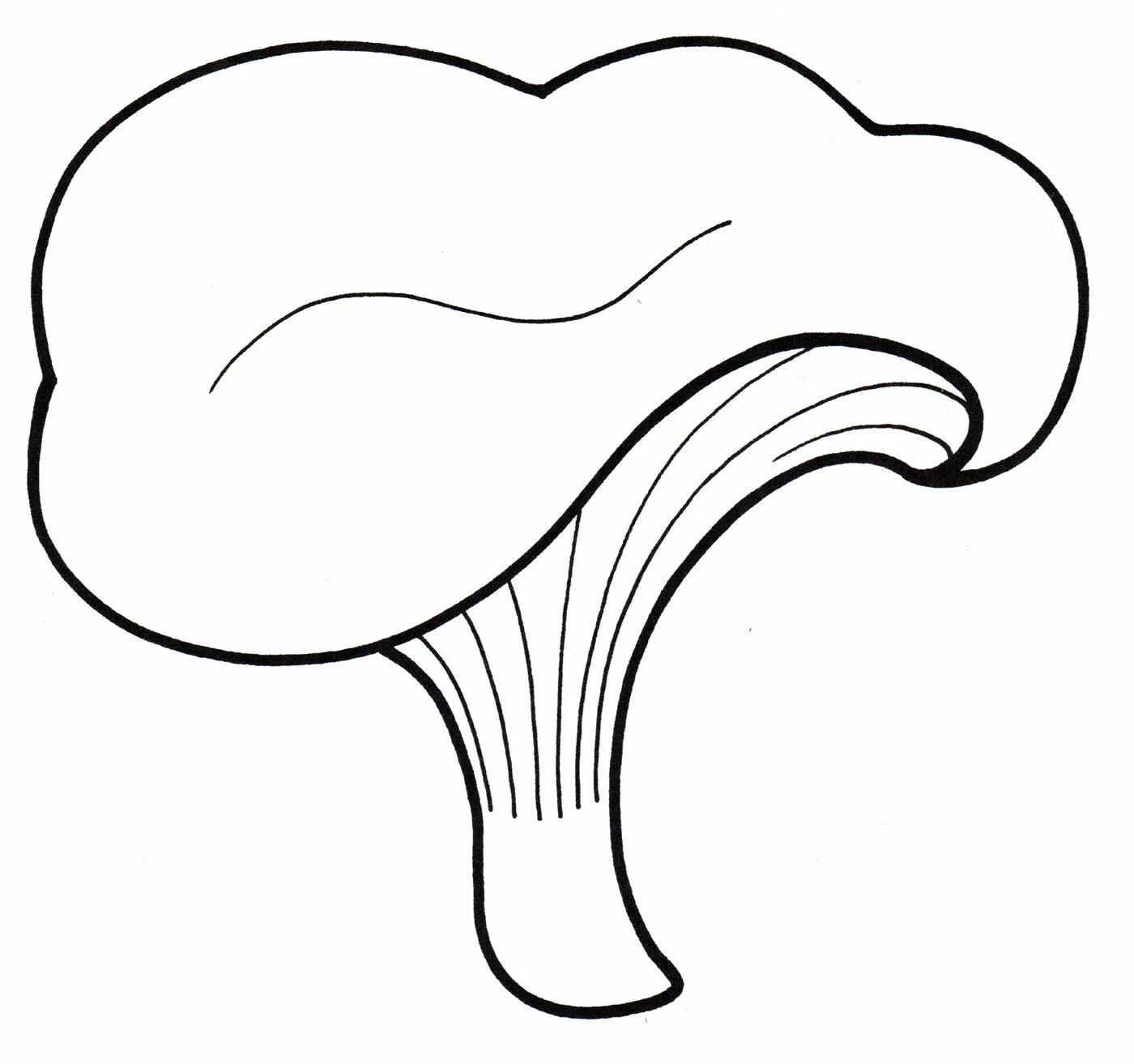 Children's chanterelle mushroom #6