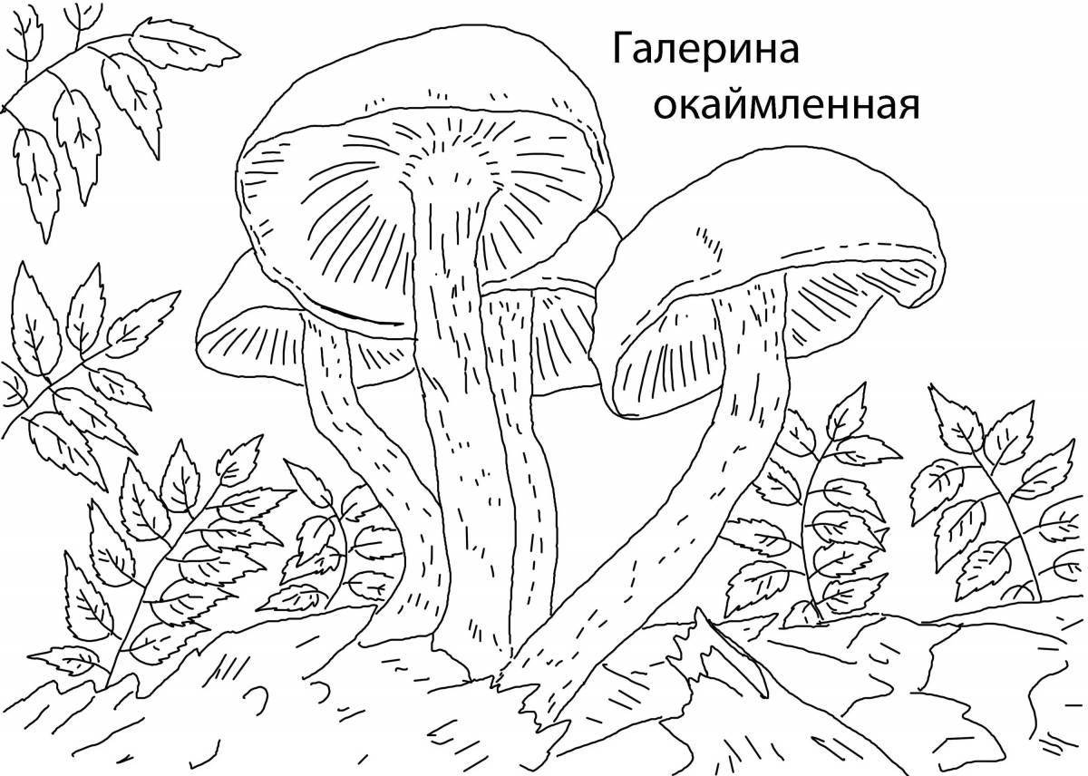 Poisonous mushroom coloring page