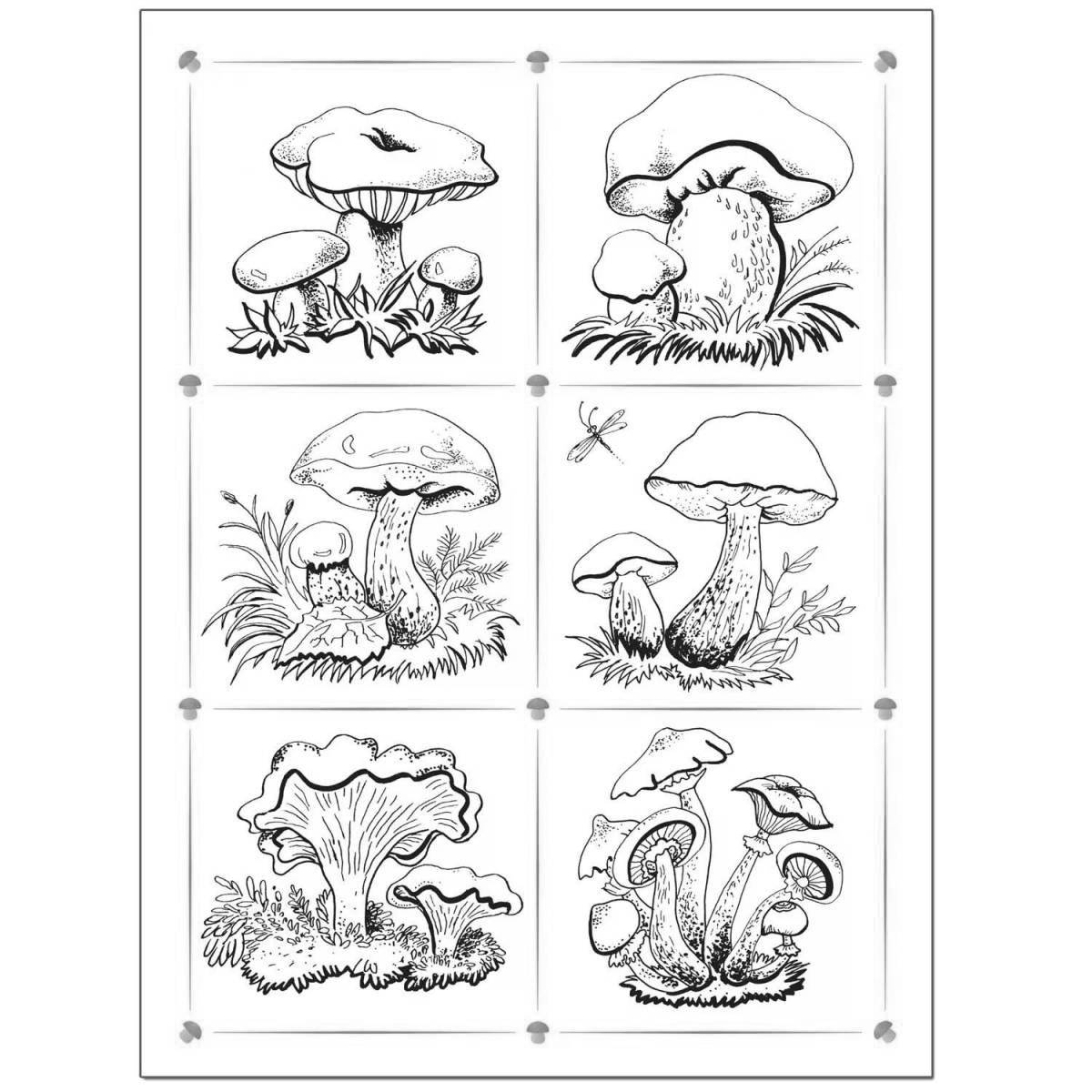 Coloring page dazzling edible mushrooms