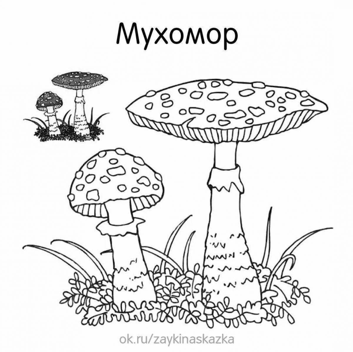 Coloring book captivating poisonous mushrooms