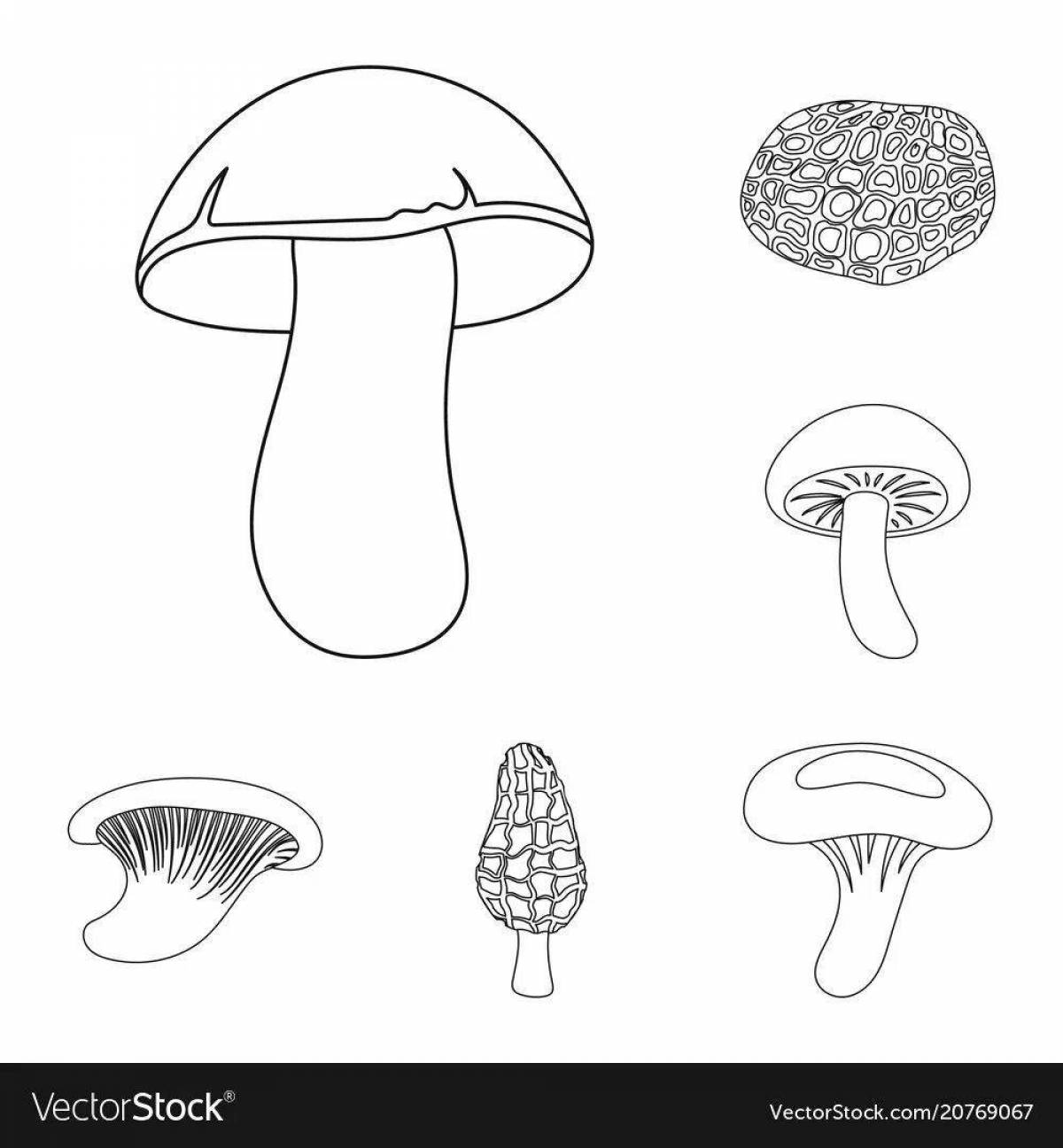 Раскраска игристых съедобных грибов