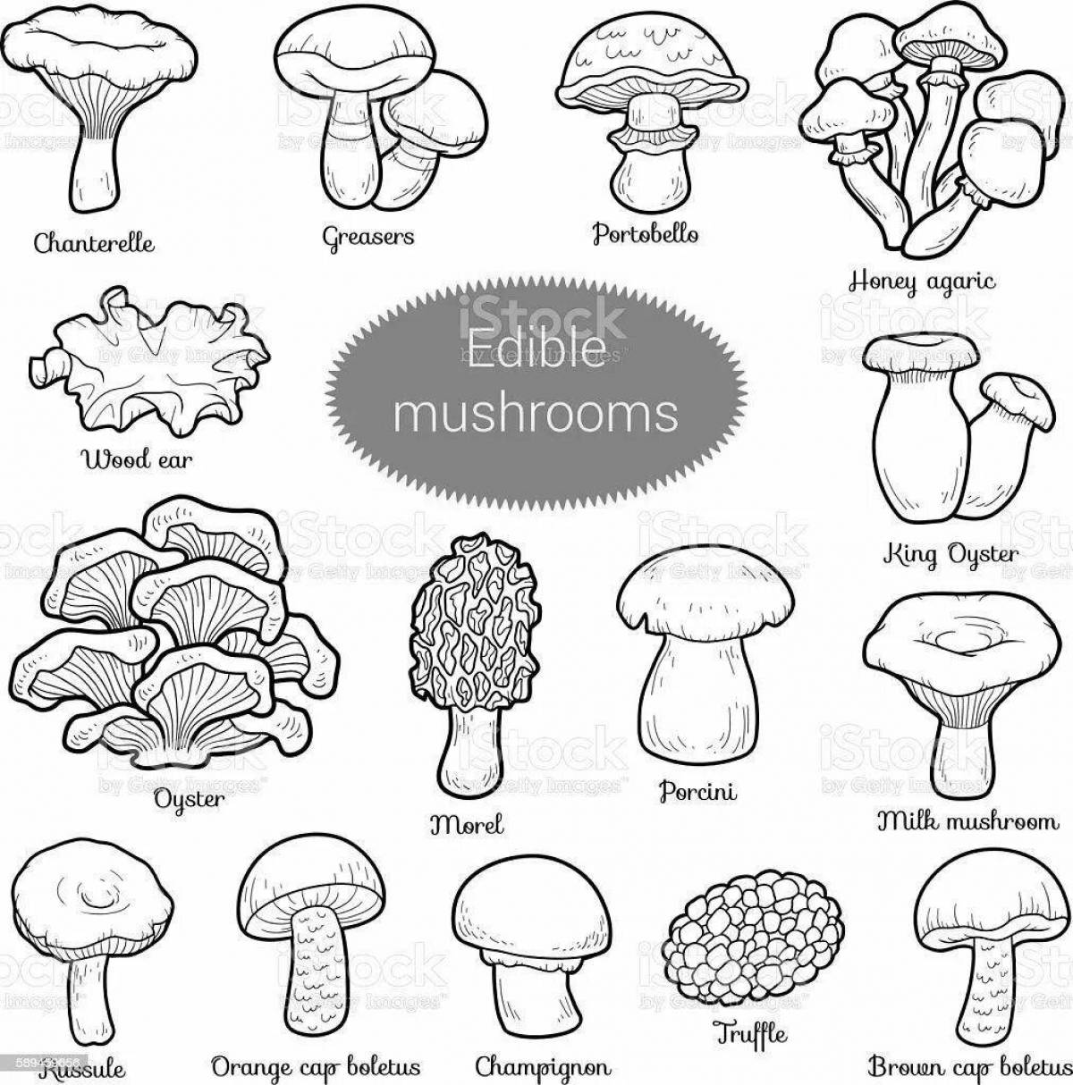 Coloring page beckoning poisonous mushrooms