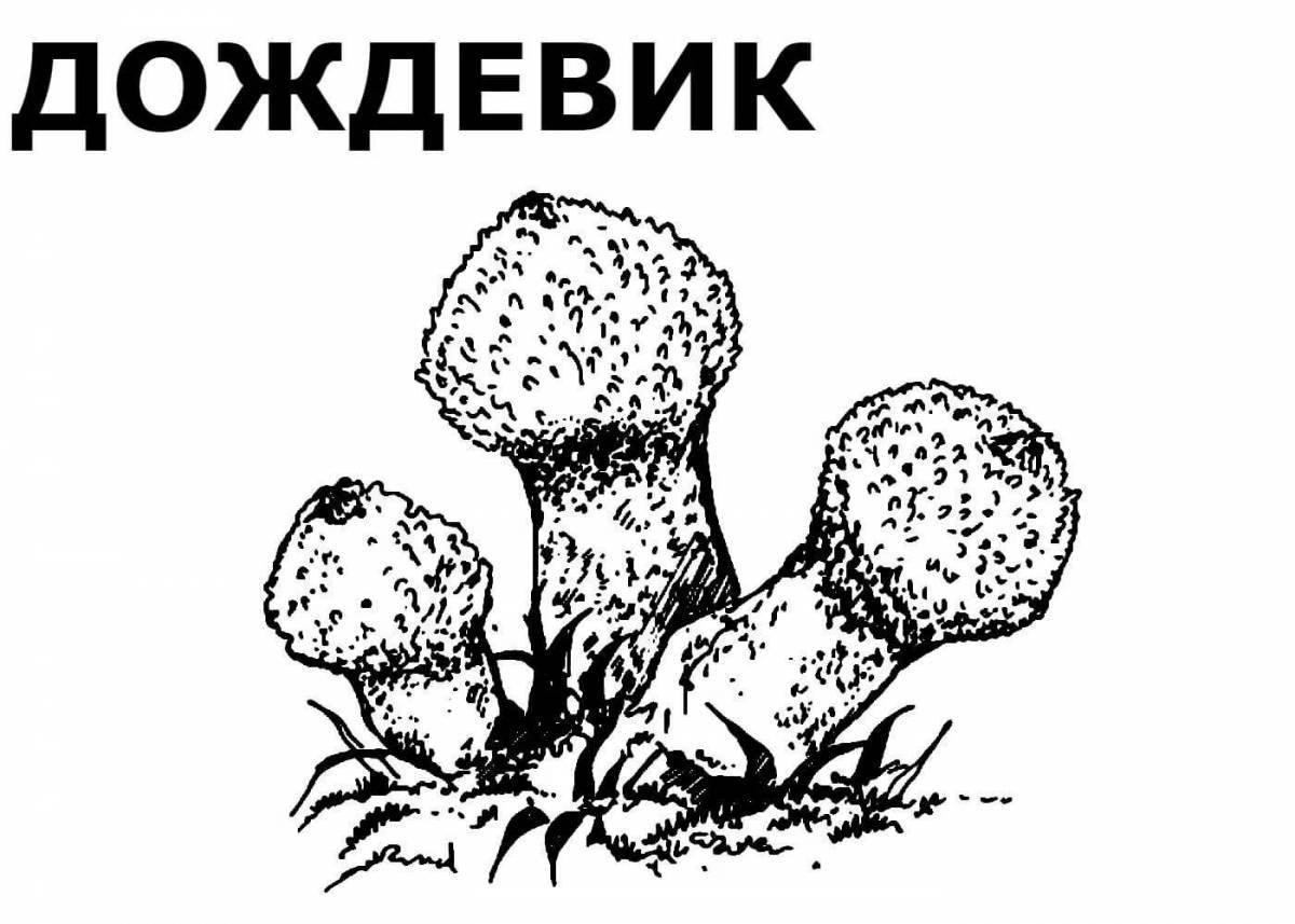 Coloring book fascinating poisonous mushrooms