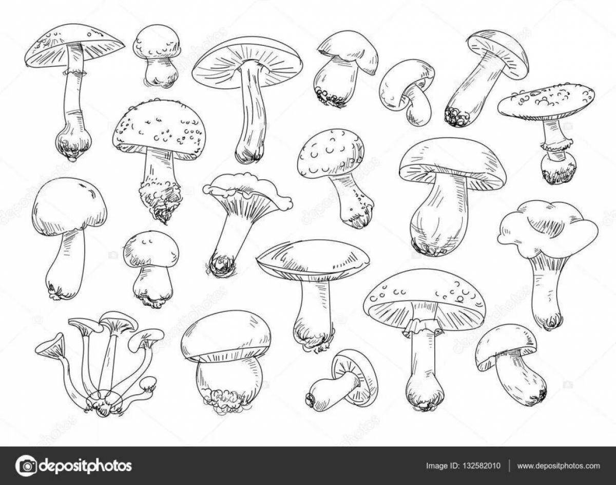 Adorable poisonous mushrooms coloring page