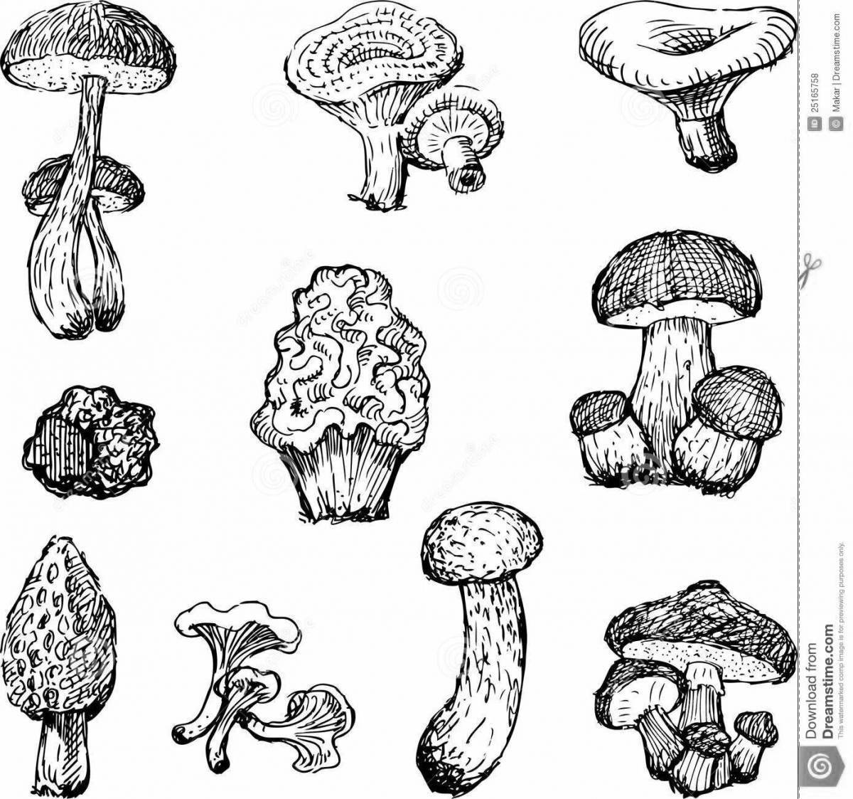 Coloring book hypnotic poisonous mushrooms
