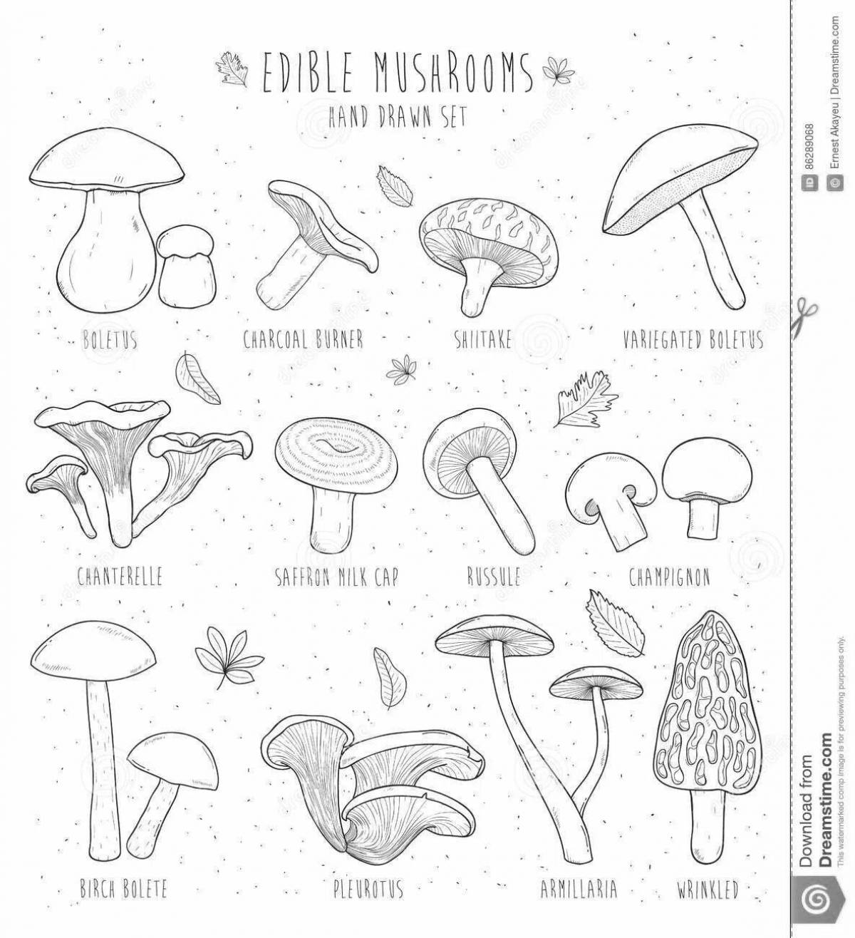 Colouring awesome poisonous mushrooms
