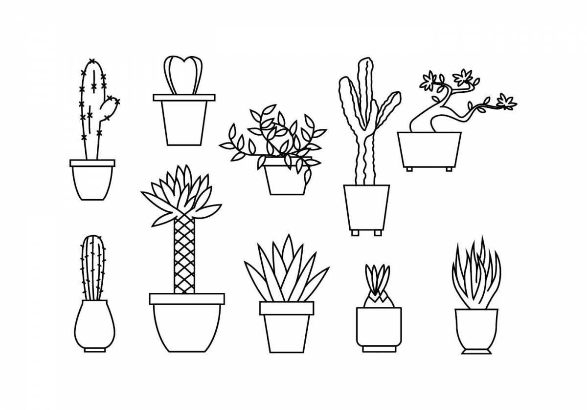 Living coloring houseplants