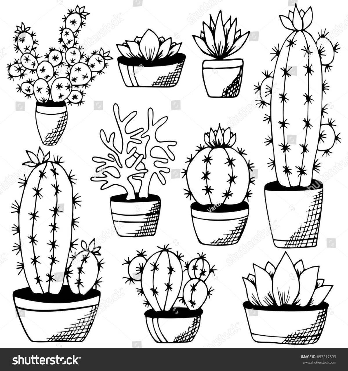 Sun coloring indoor plants