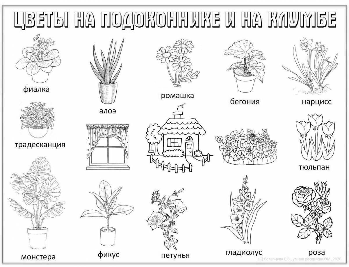 Блестящая раскраска комнатные растения