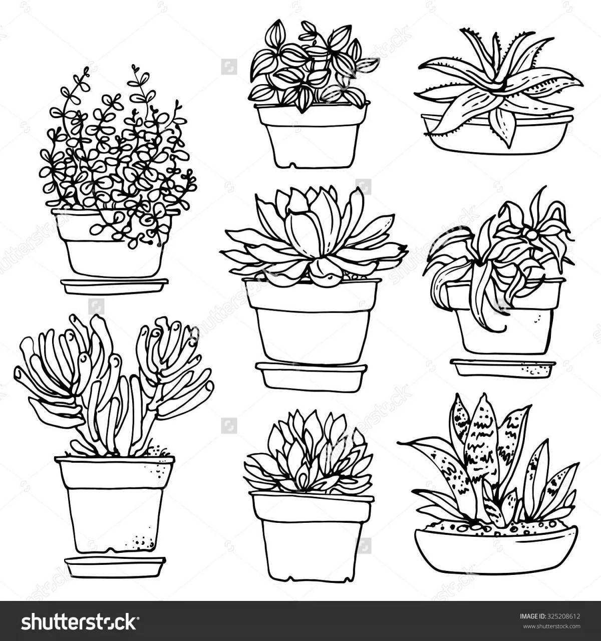 Charming houseplants coloring book