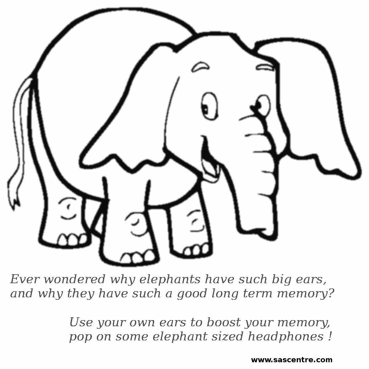 Обитель великих слонов, 1 класс