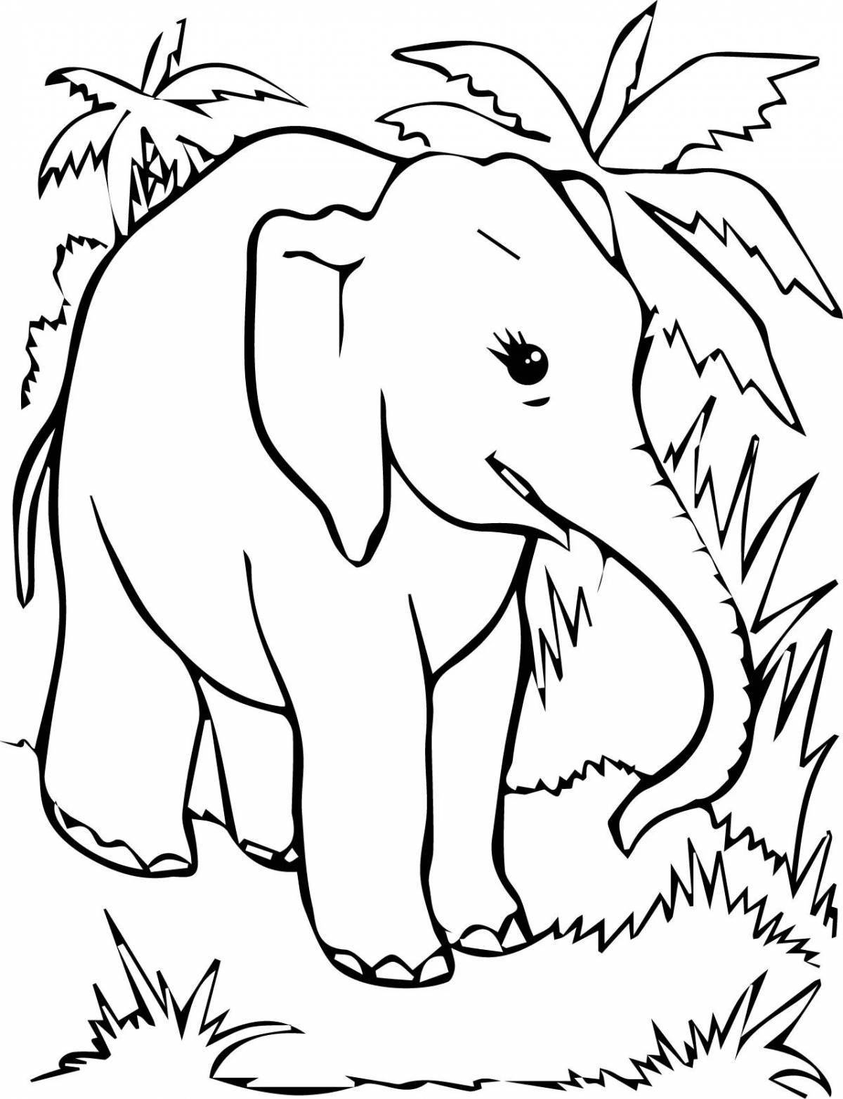 Colorful Elephant Retreat, Grade 1