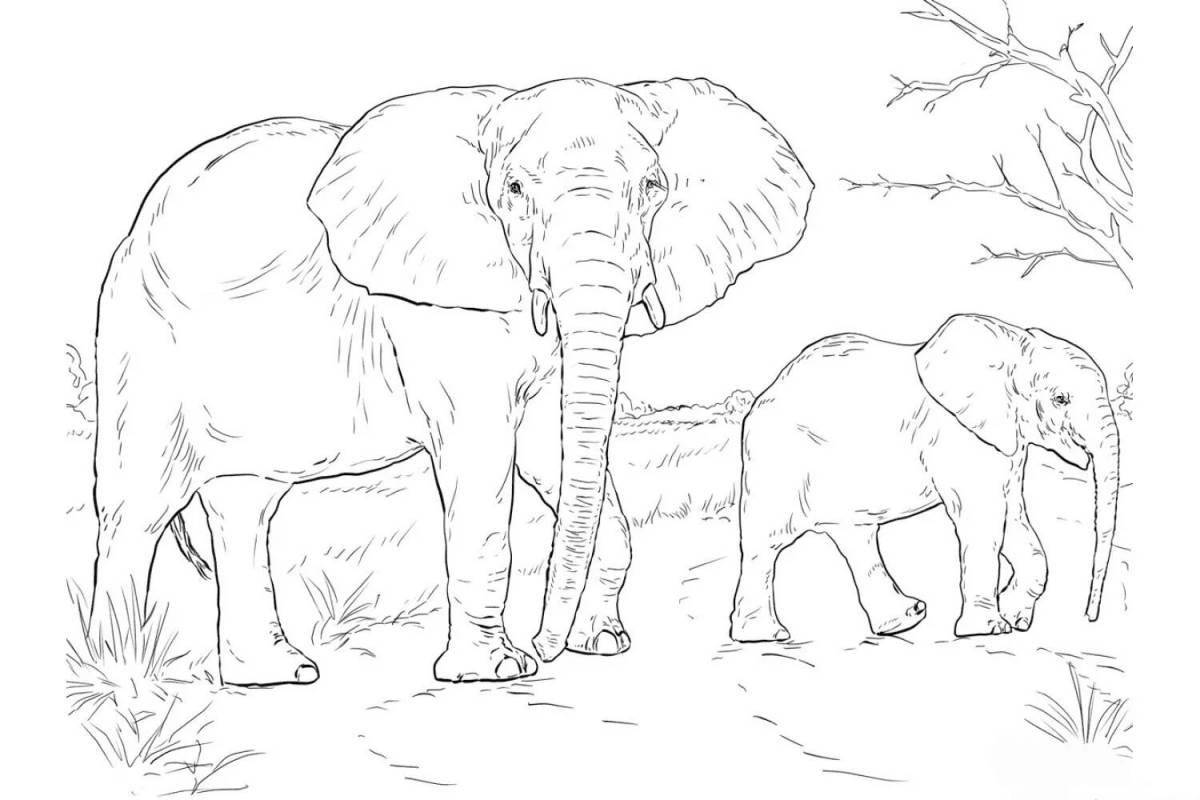 Убежище красочных слонов 1 класс