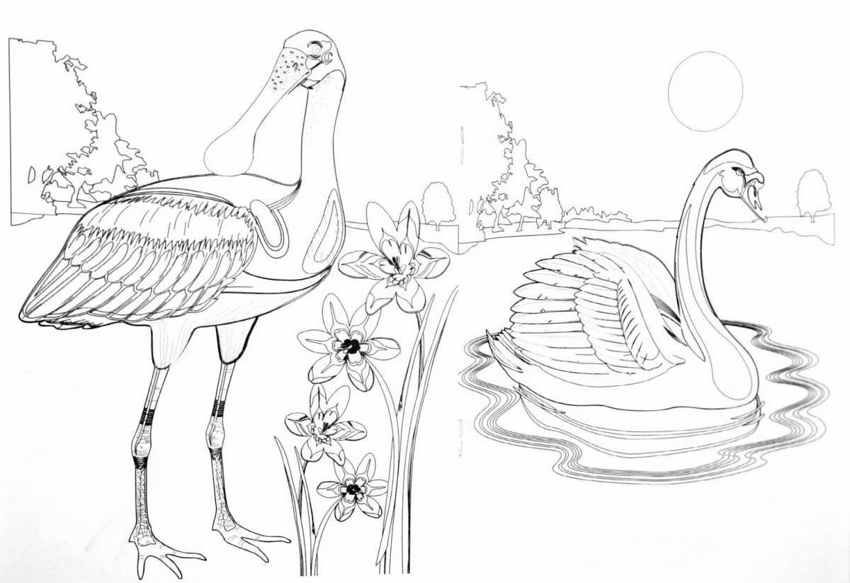 Exotic red book animal coloring pages