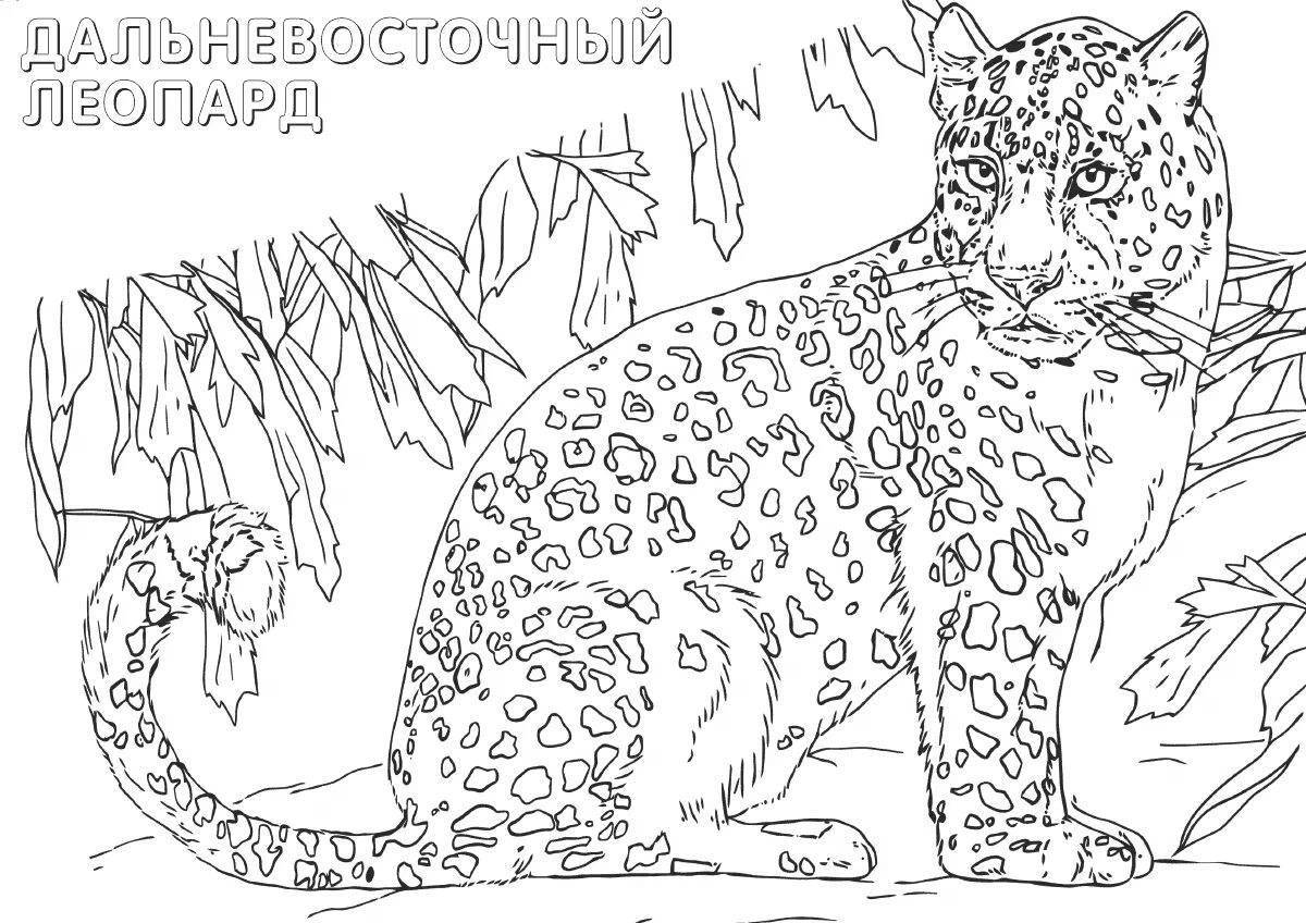 Fancy animal coloring pages from the red book