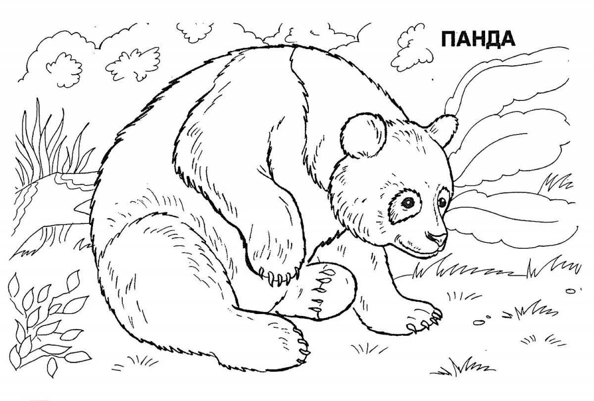 A fascinating coloring book animals from the red book