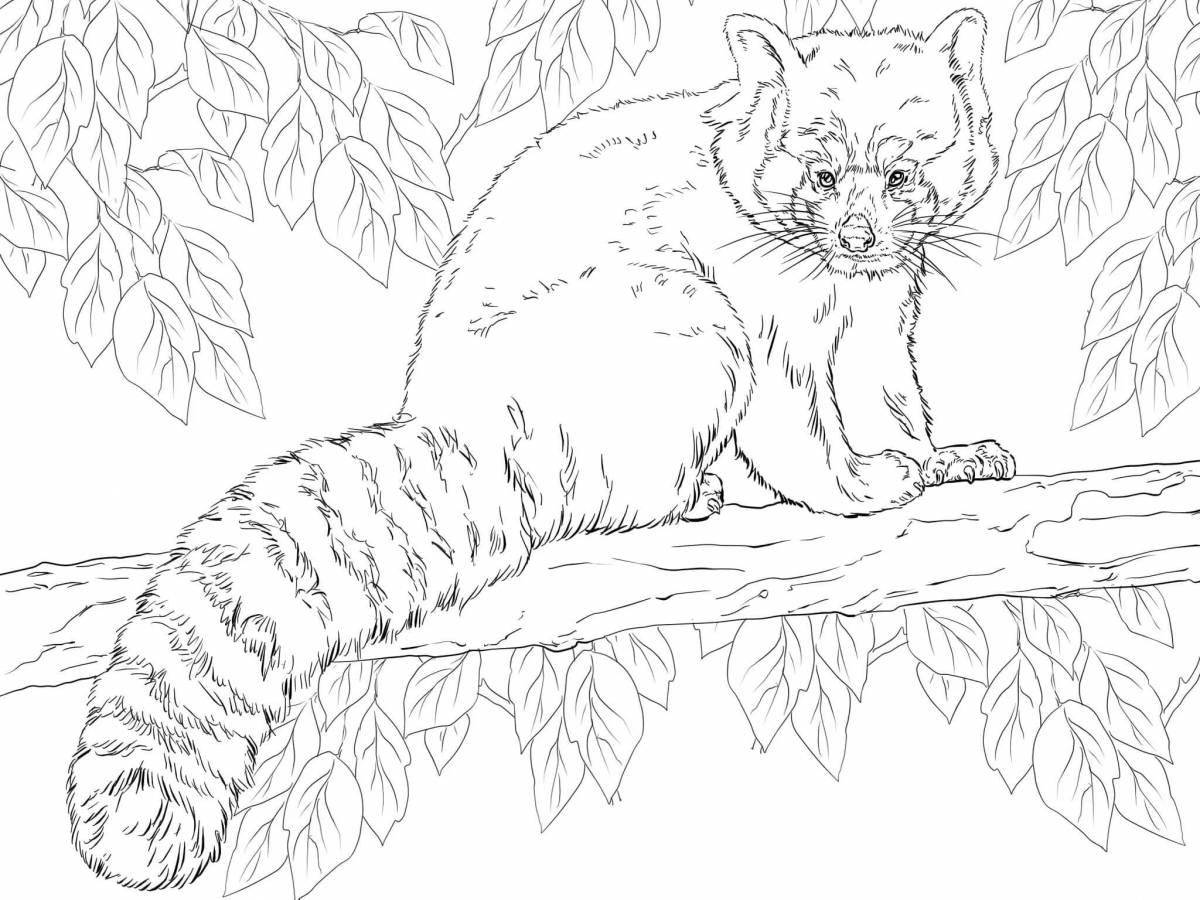 Beautiful coloring pages animals from the red book