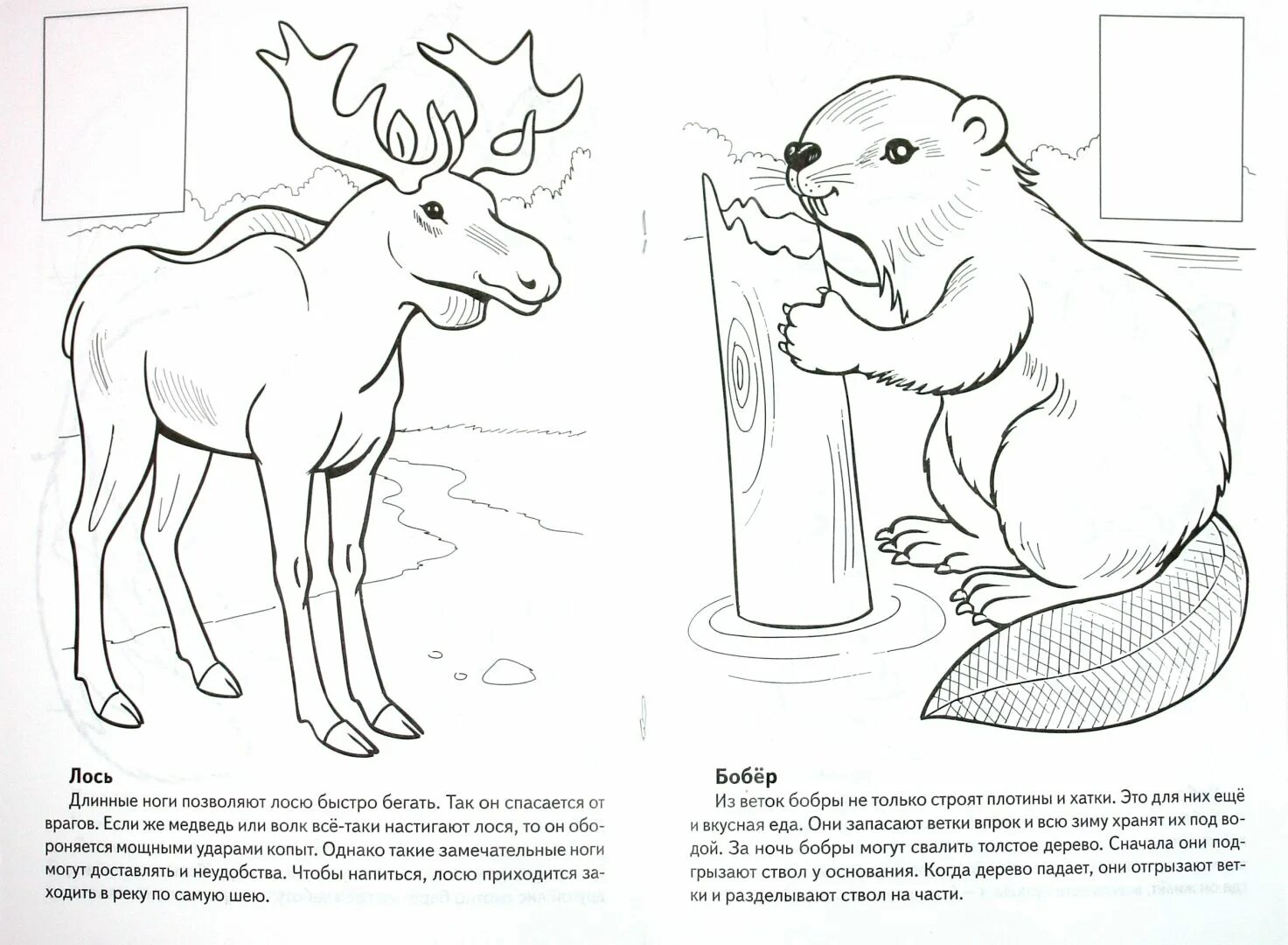 Animals listed in the Red Book #6