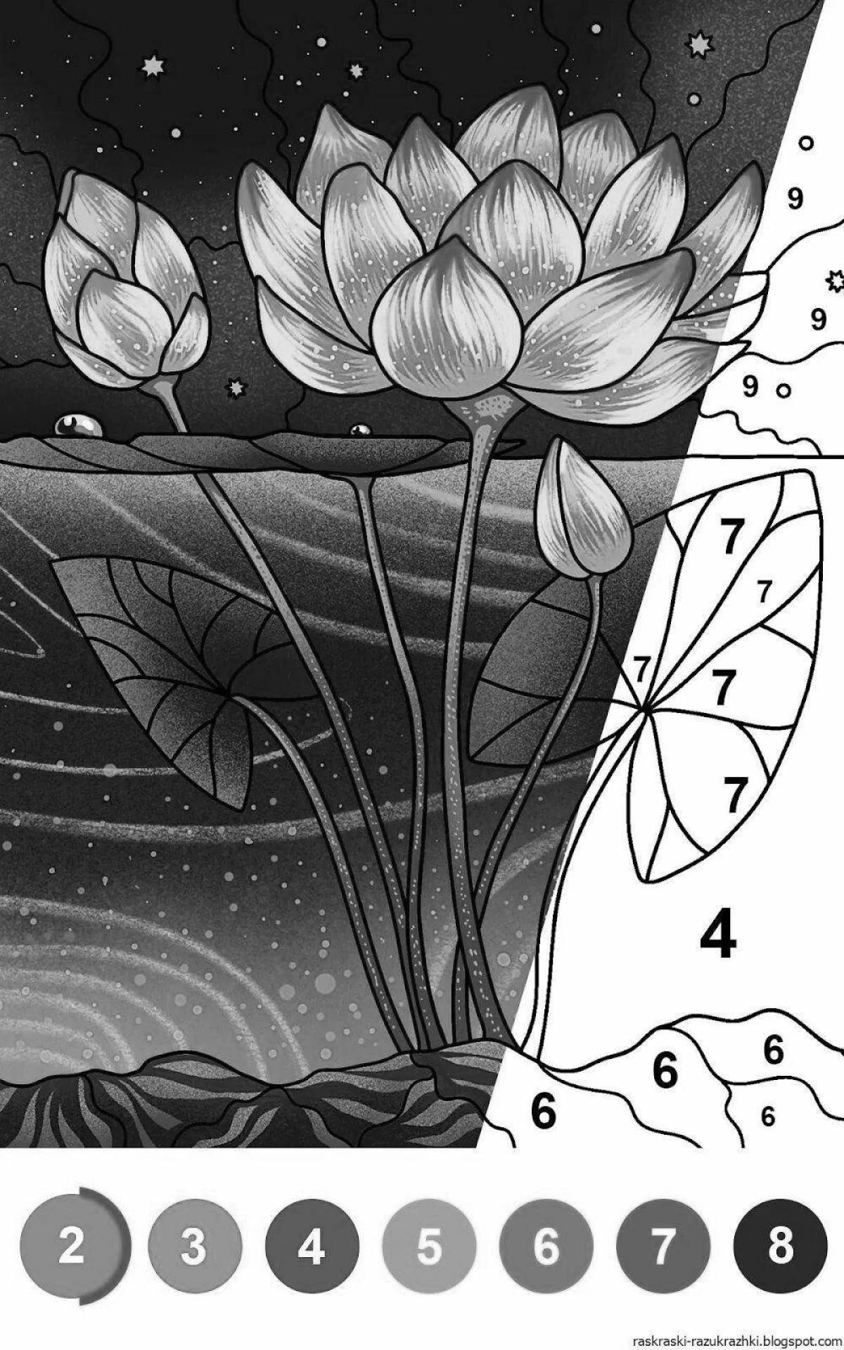 Attractive coloring by numbers torrent program