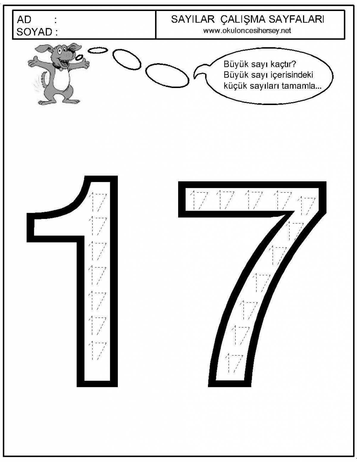 17 #13
