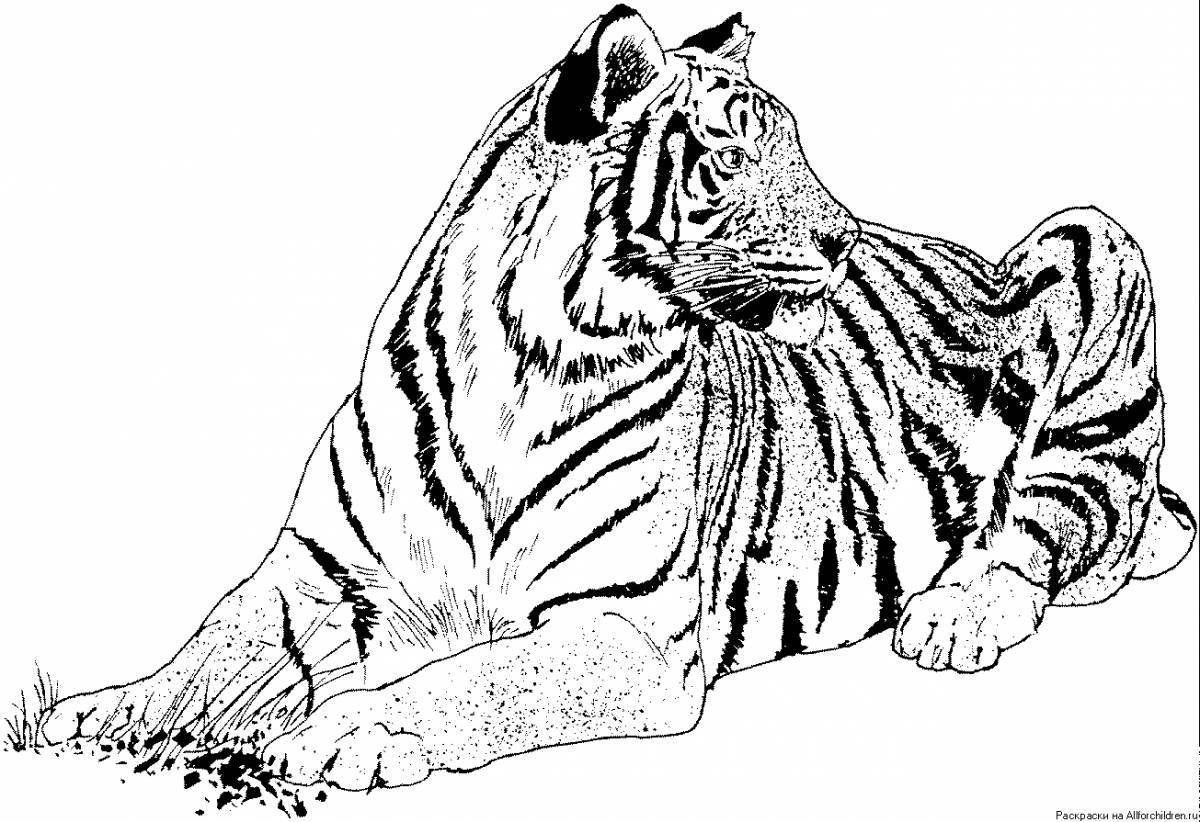 Dramatic tiger coloring