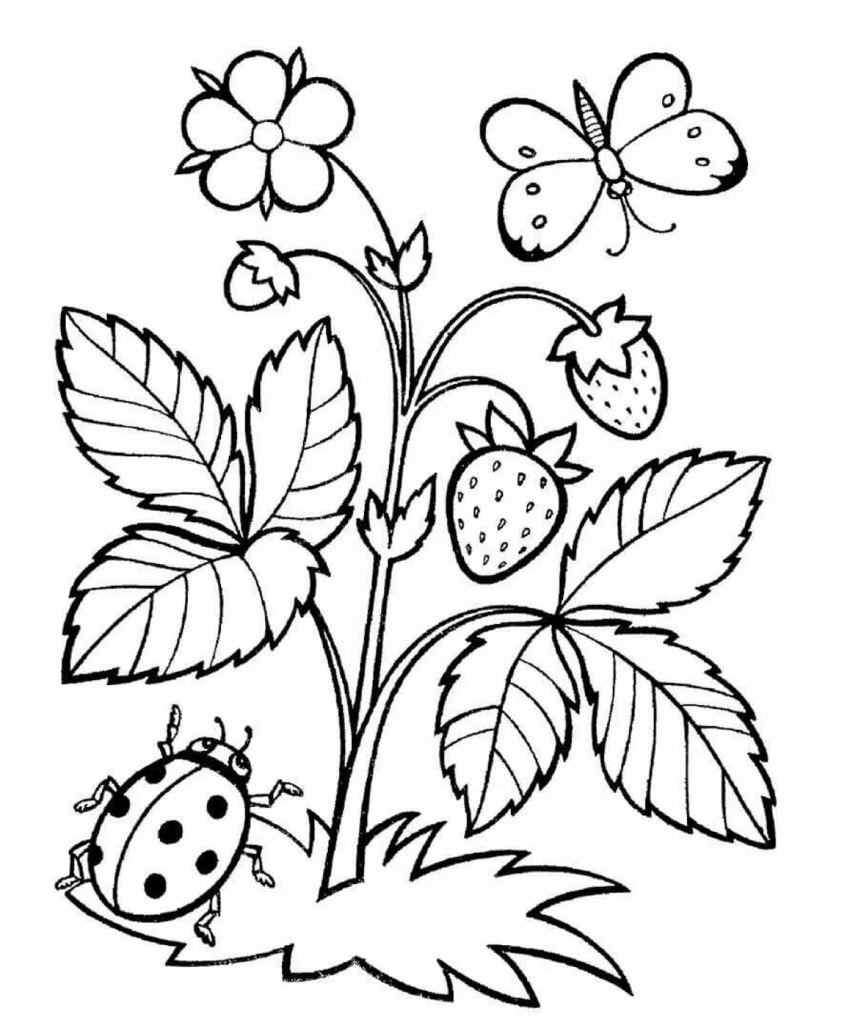 Delicate copy of the coloring page