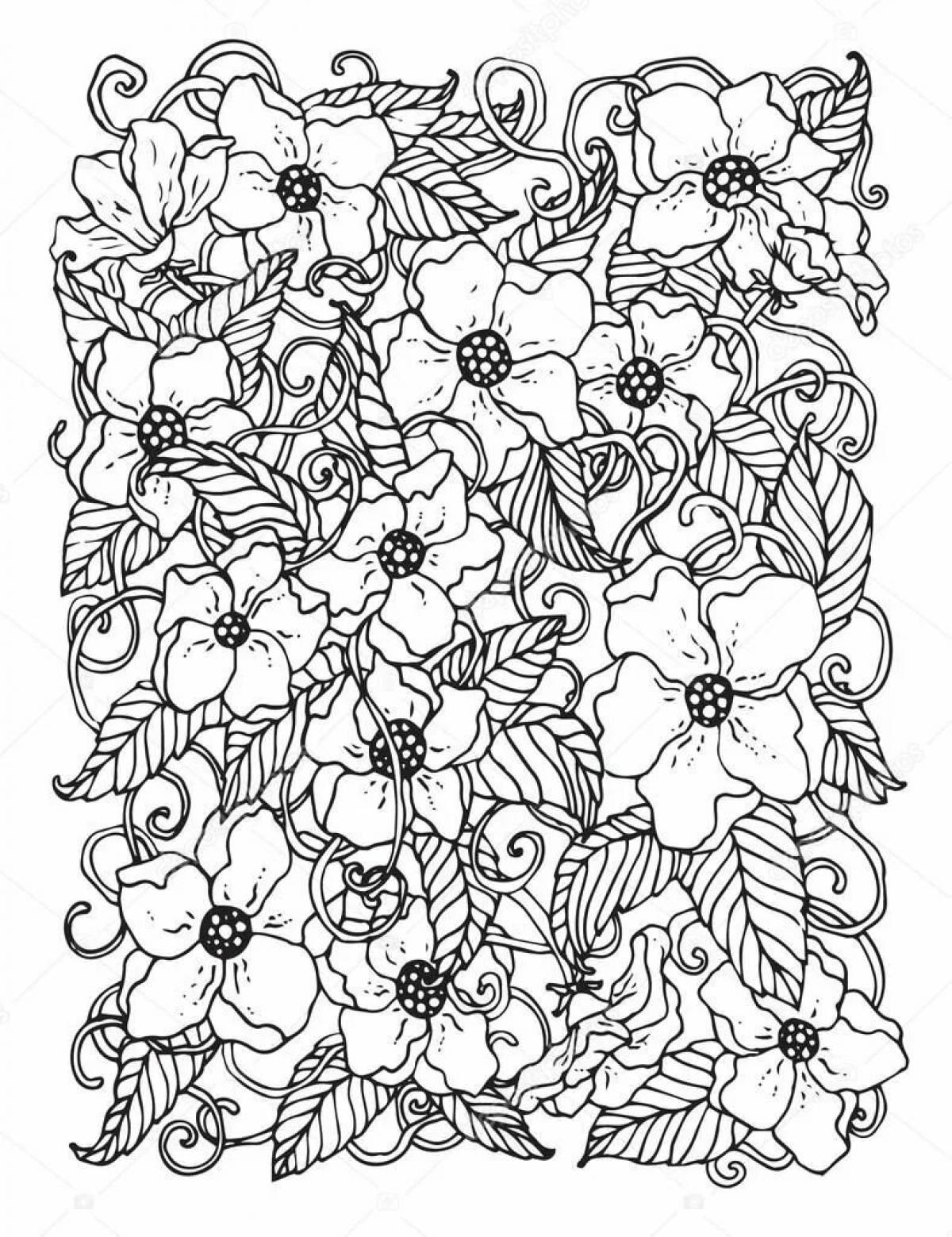 Amazing coloring book