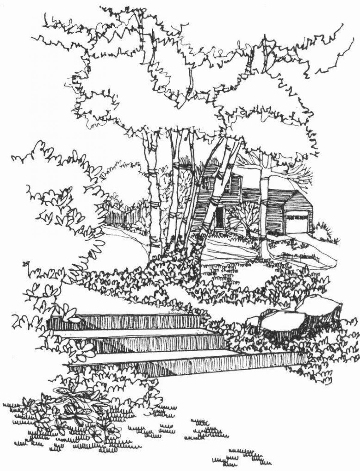 Photo Scenic coloring landscape