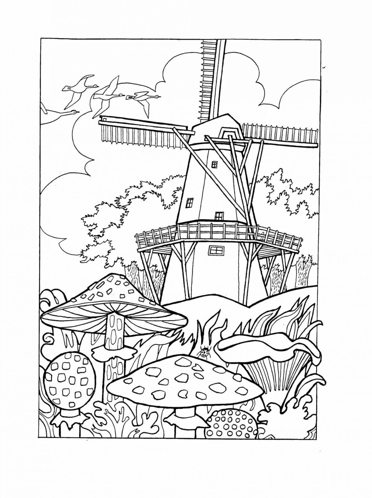 Exquisite holland coloring book