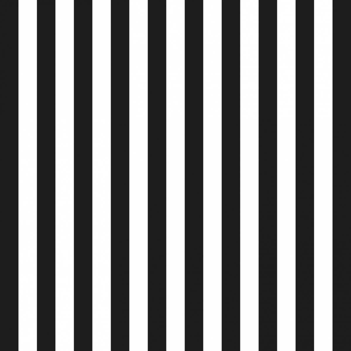 Раскрась полоски. Раскрась полоски. Контур зебры для детей. Раскраски животные для детей. Длиннее короче задания для дошкольников.