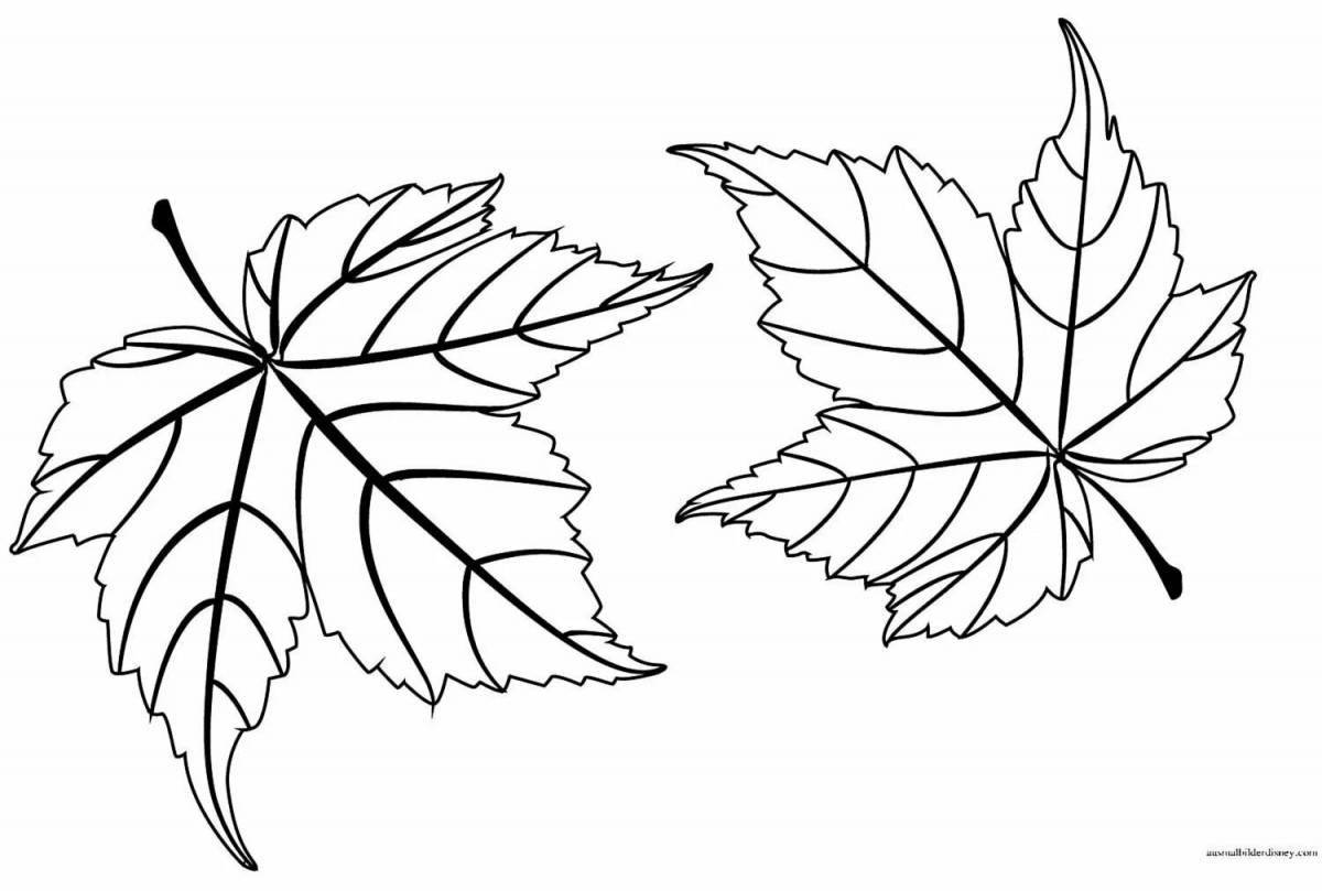 Lovely japyrak coloring page