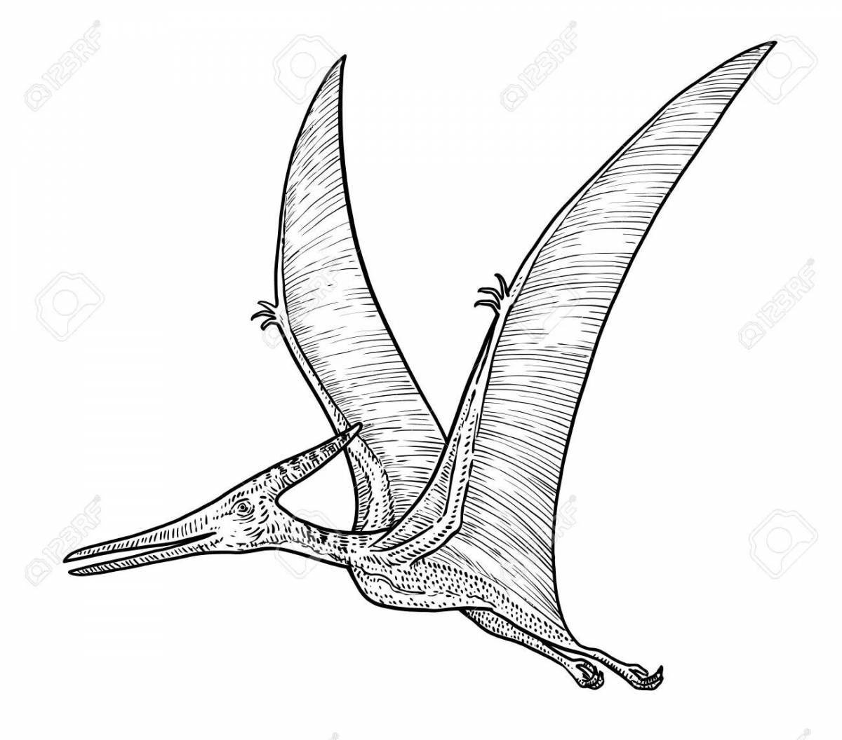 Drawing pteranodon coloring page