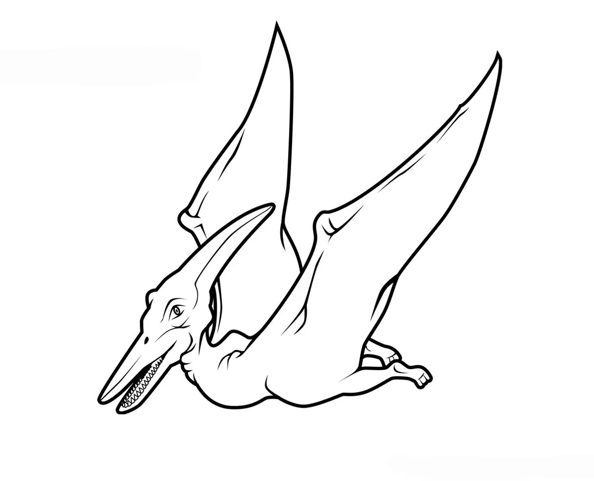 Regal Pteranodon coloring page