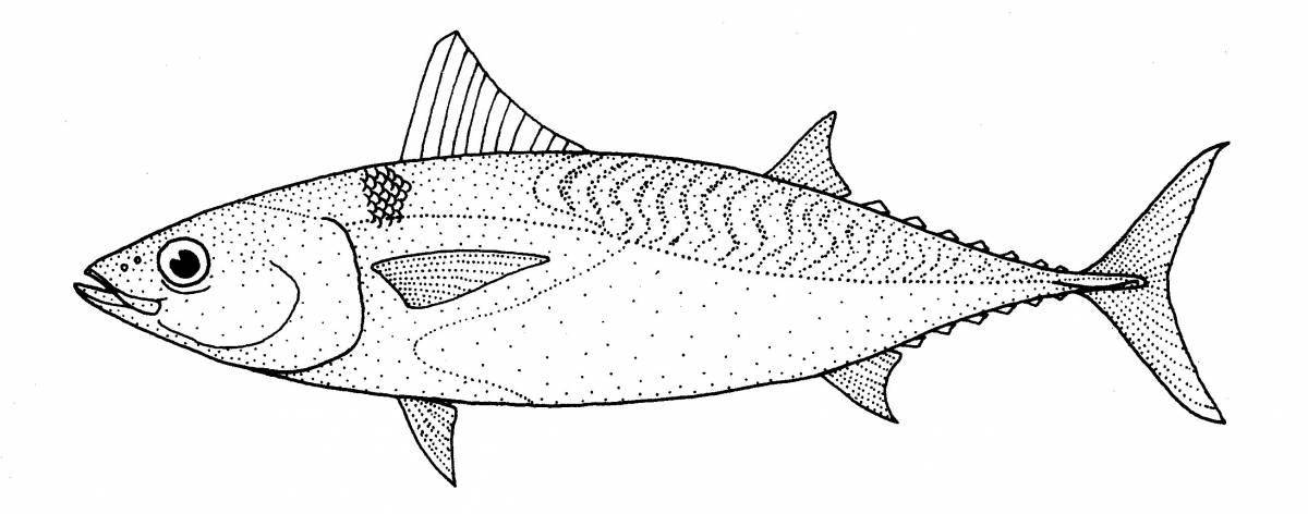 Live tuna coloring page