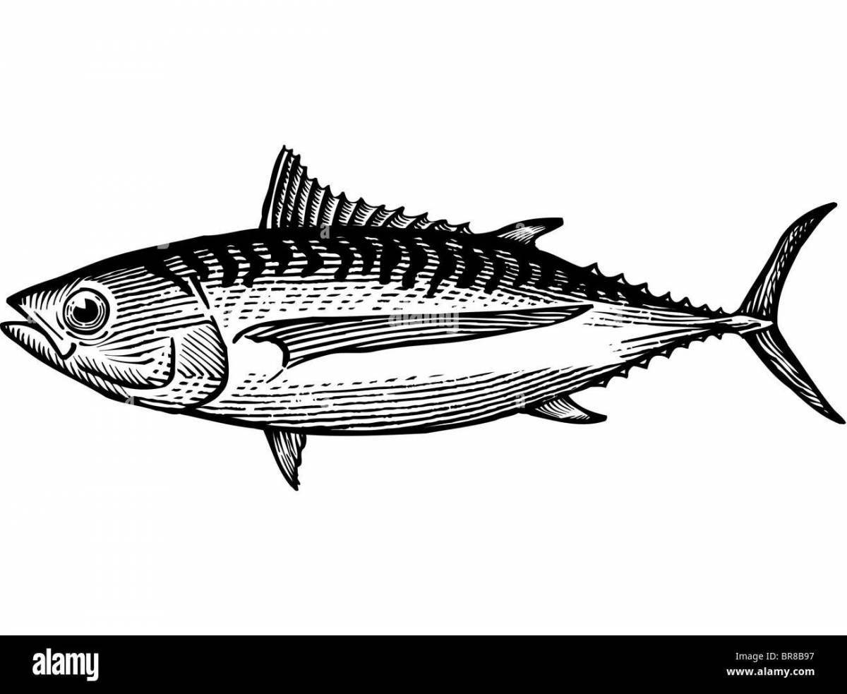 Раскраска рафинированный тунец