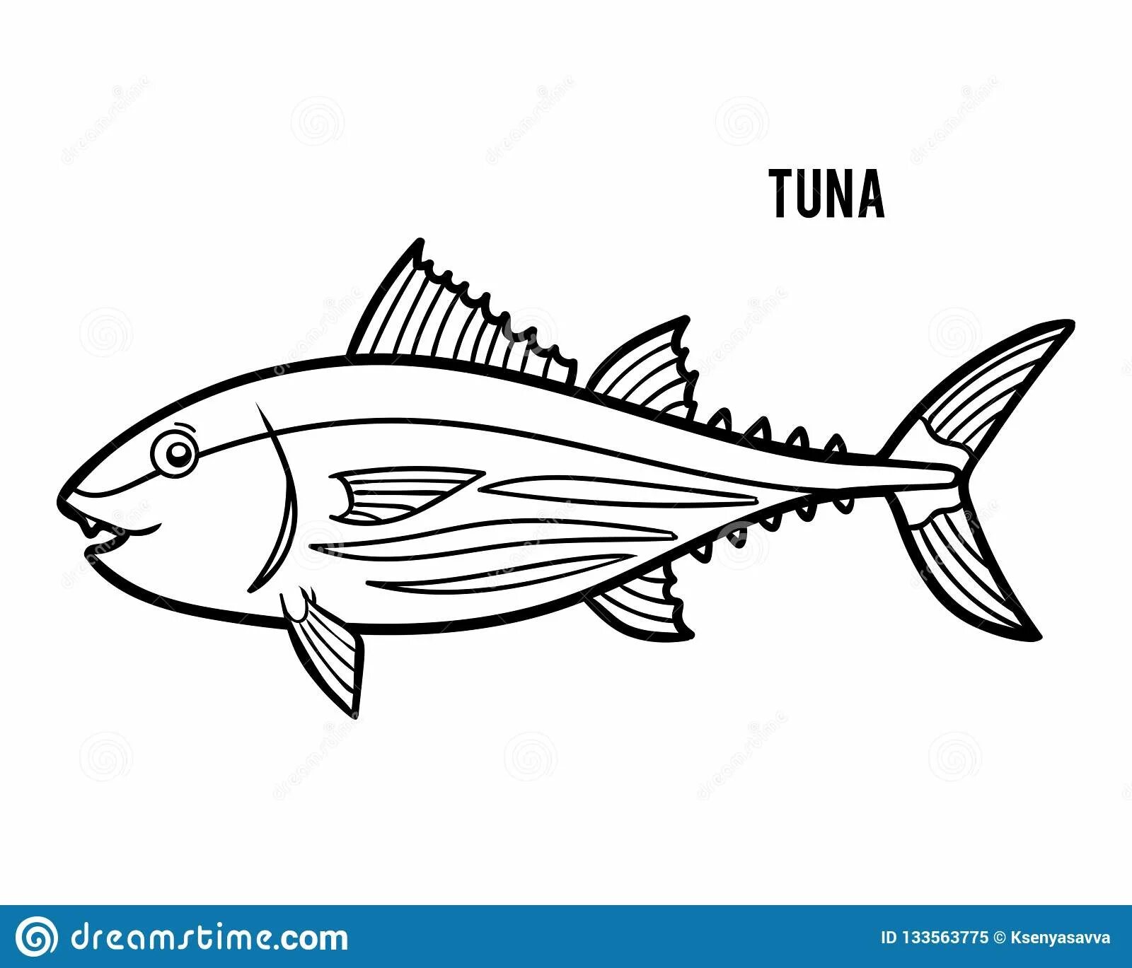 Tuna #1