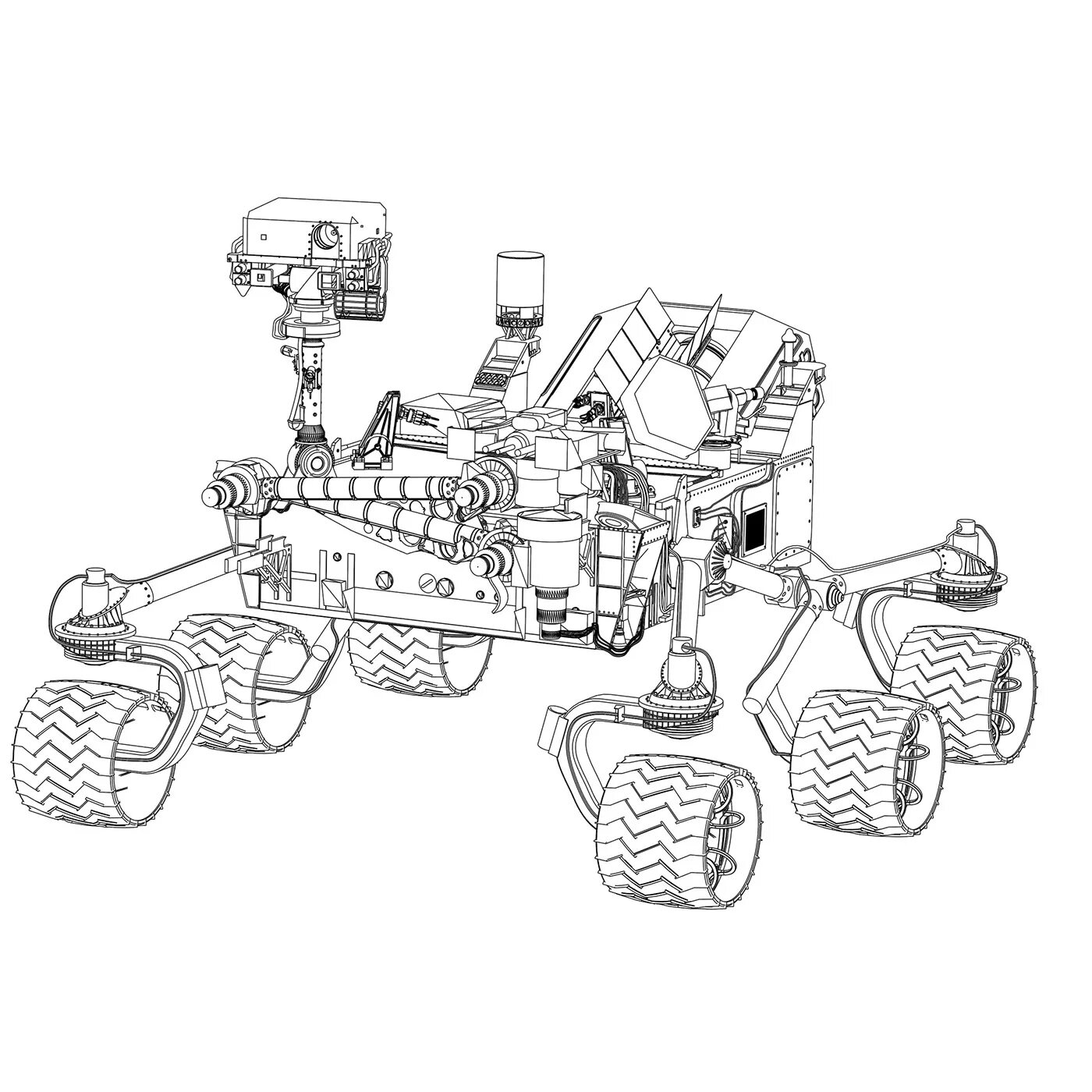 Rover #1