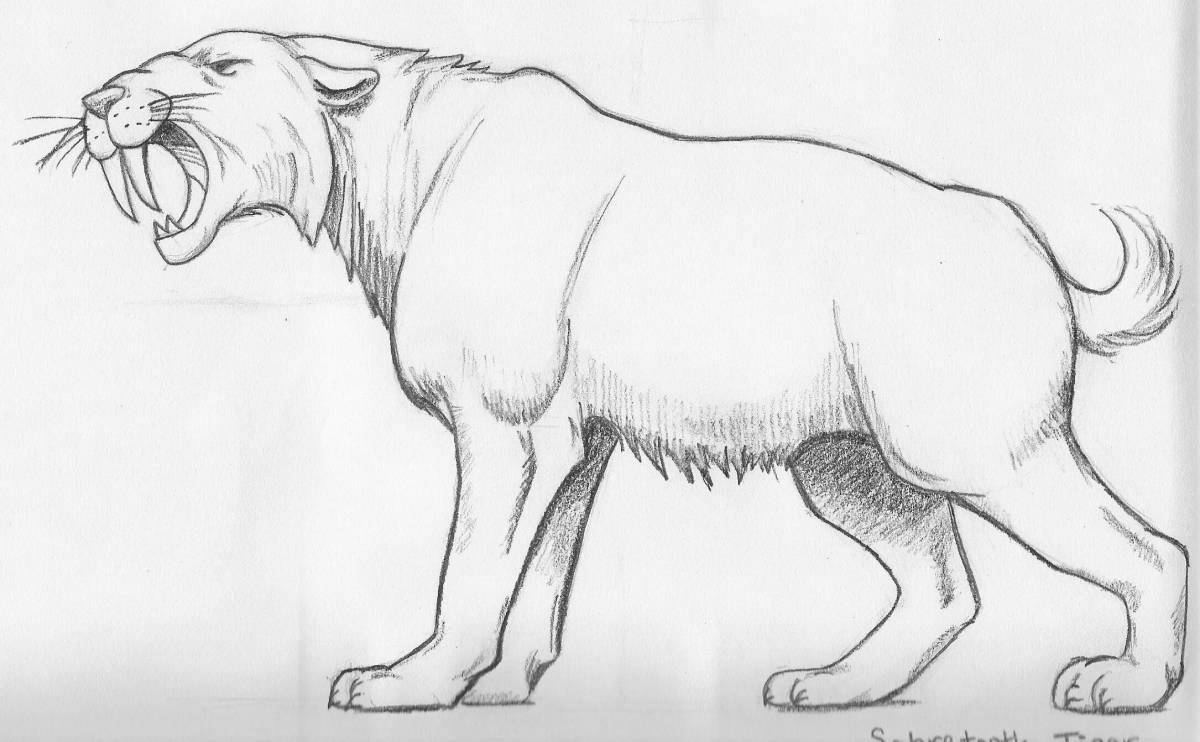 Coloring page dazzling saber-toothed tiger