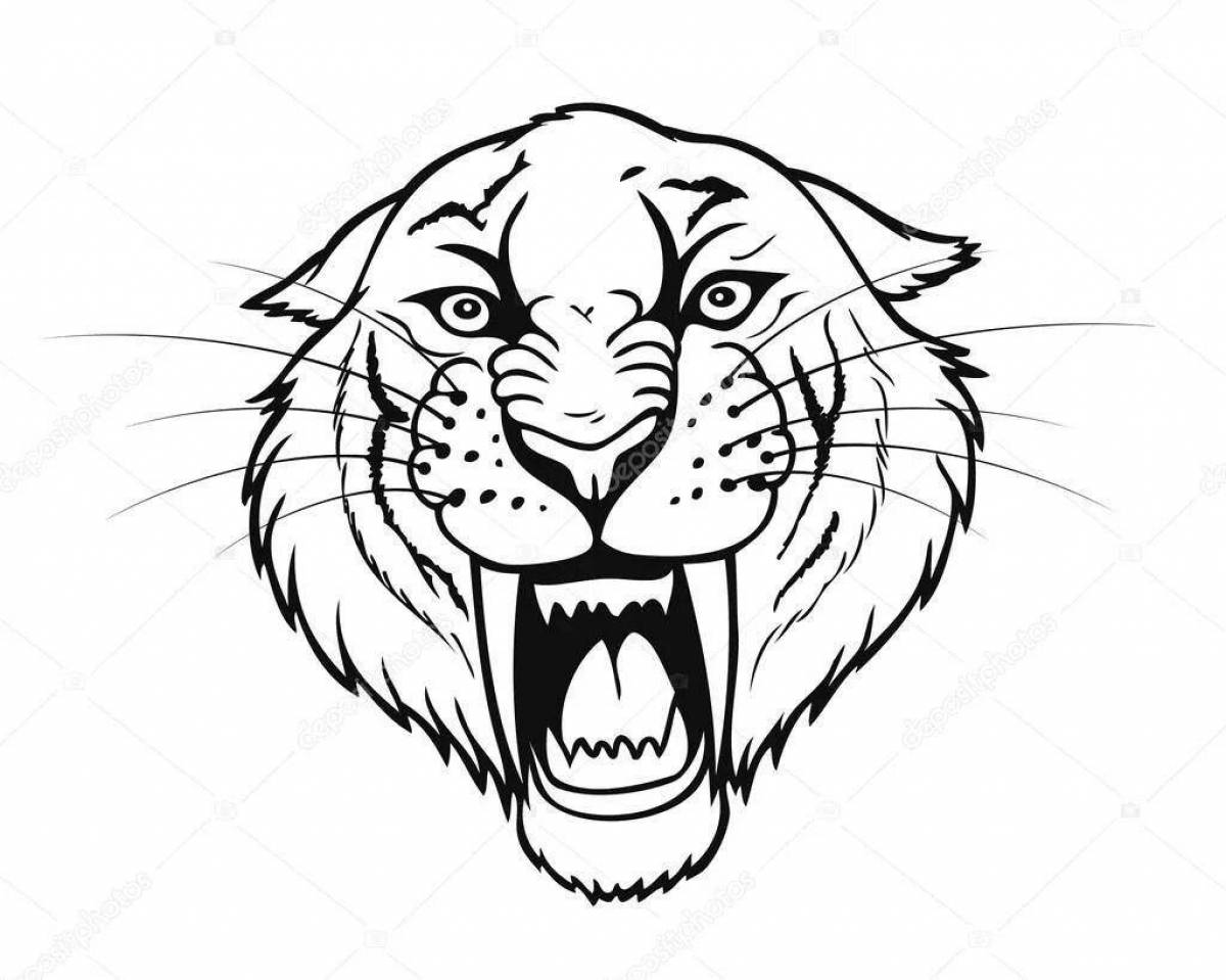Раскраска царственный саблезубый тигр