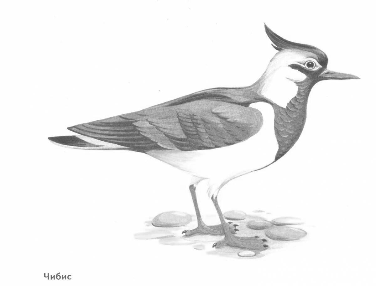 Bright lapwing coloring page