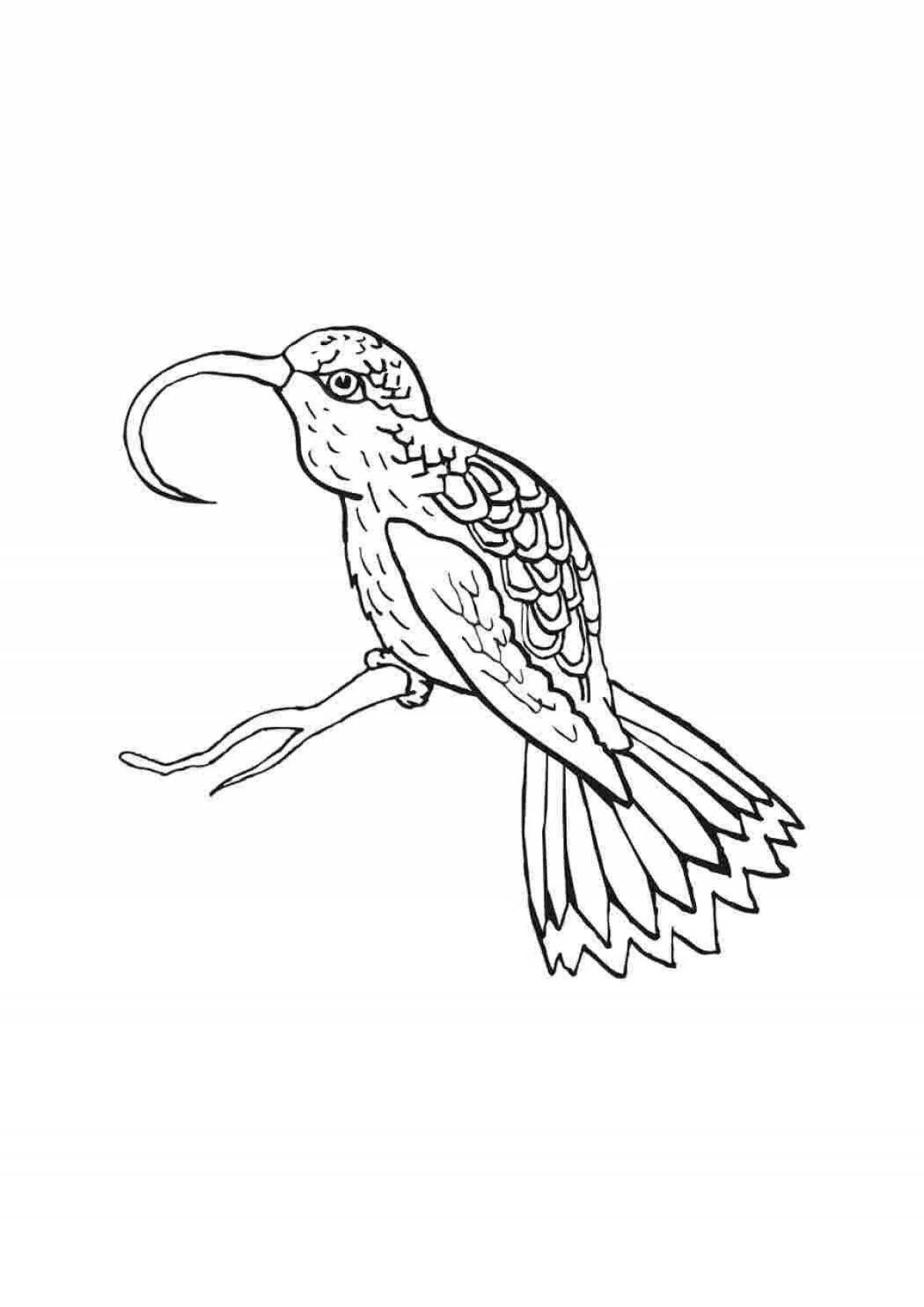 Awesome lapwing coloring page