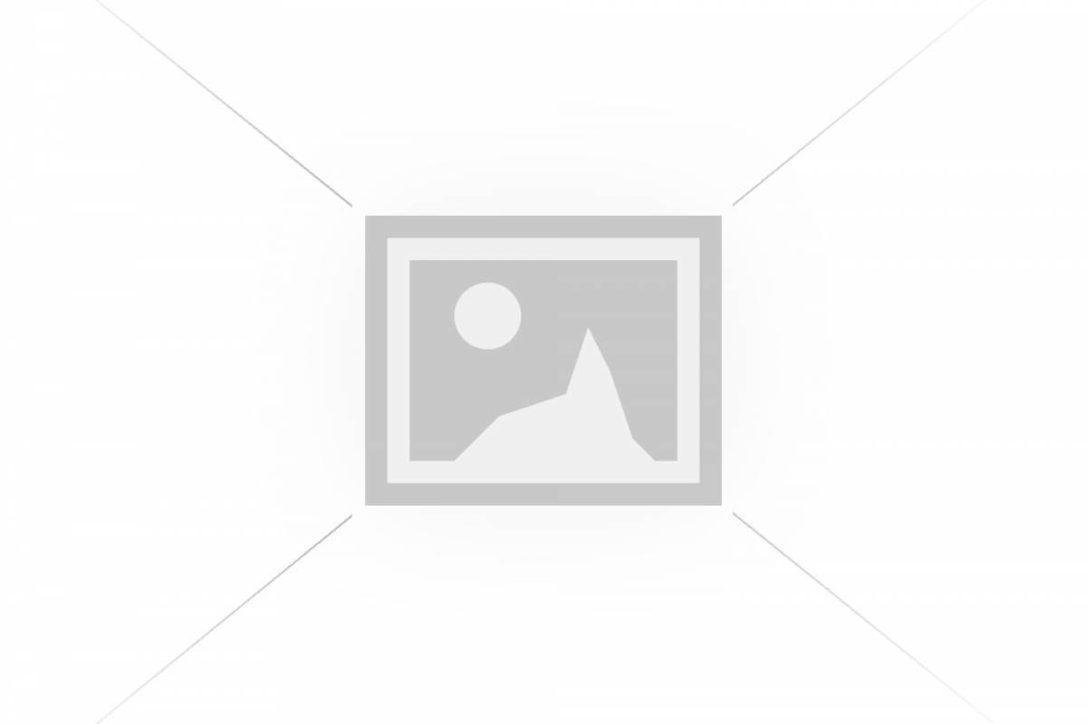 Criticism of bright coloring