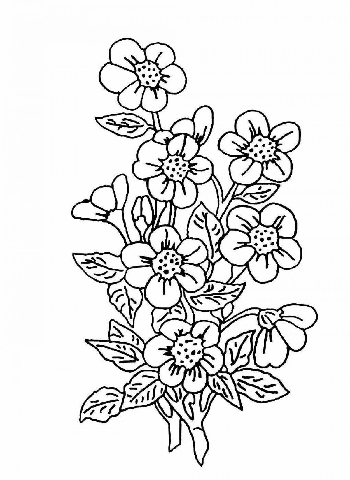 Coloring book shining embroidery