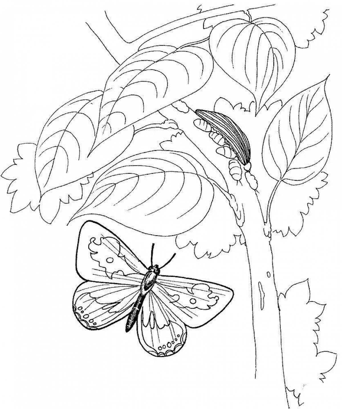 Amazing dew coloring page