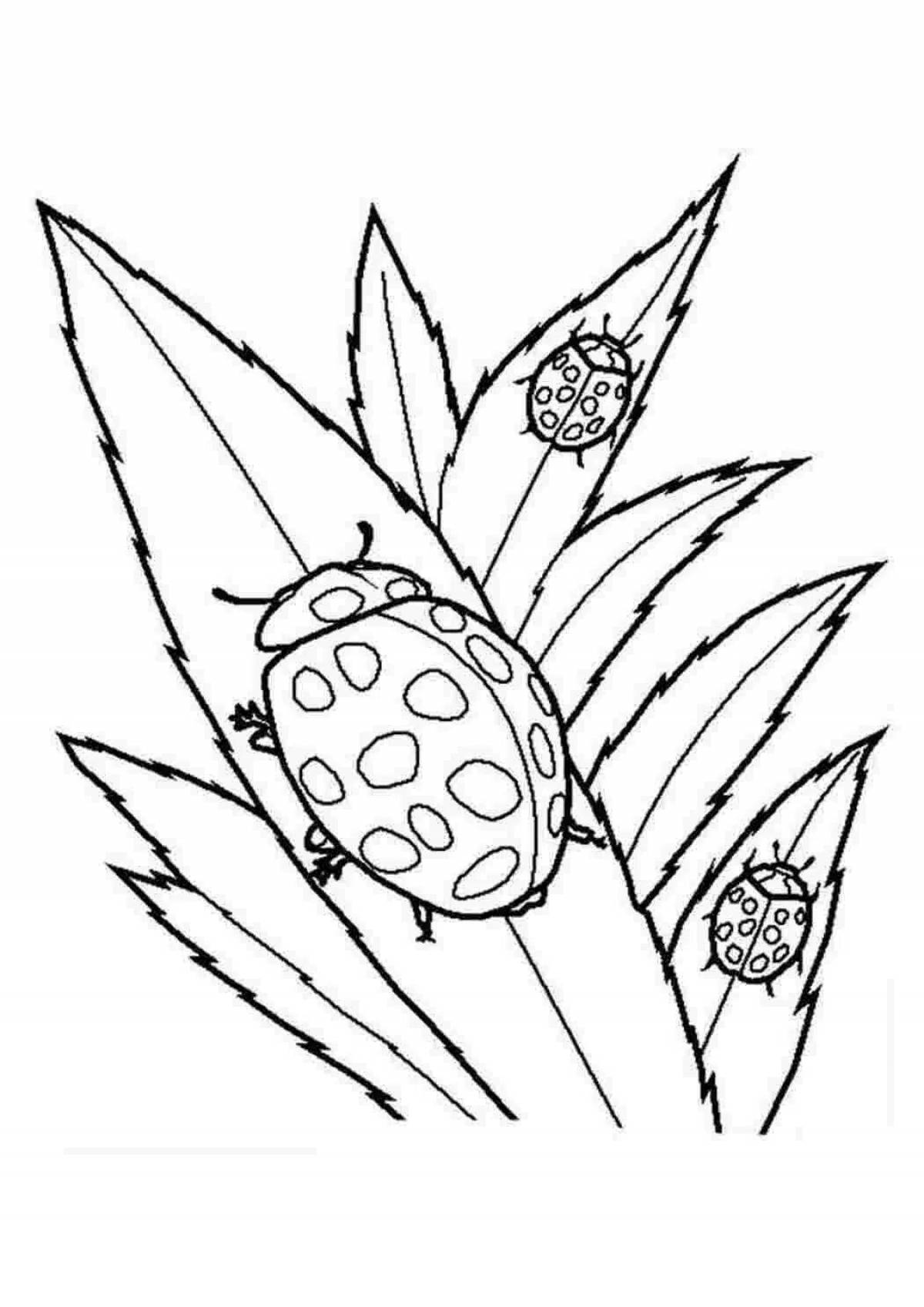 Magic dew coloring page
